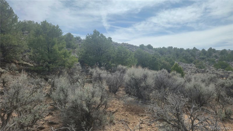 Bilby Rd Lot 2527, Fort Garland, CO 81133