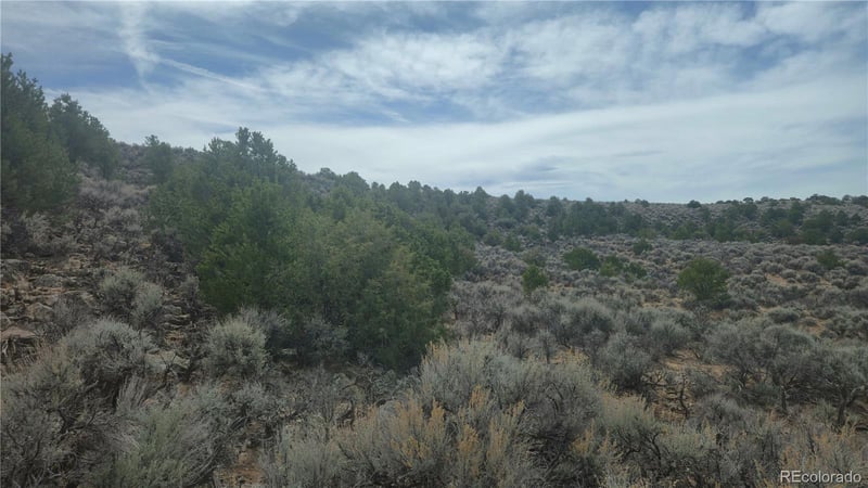 Bilby Rd Lot 2527, Fort Garland, CO 81133