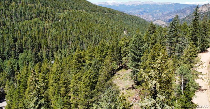 Blue Bell Ln, Idaho Springs, CO 80452