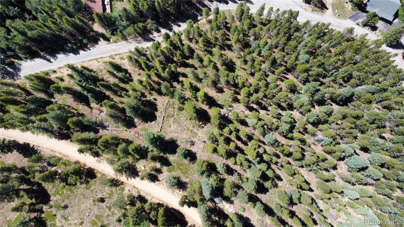 Blue Bell Ln, Idaho Springs, CO 80452