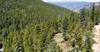 Blue Bell Ln, Idaho Springs, CO 80452