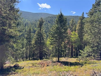 Blue Bell Ln, Idaho Springs, CO 80452