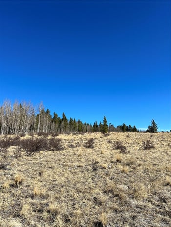 247 Thickspike , Fairplay, CO 80440