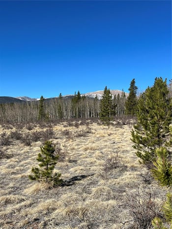 247 Thickspike , Fairplay, CO 80440