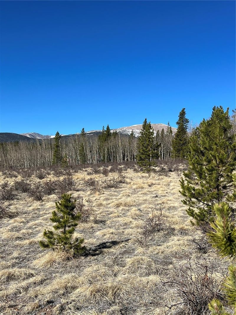 247 Thickspike , Fairplay, CO 80440