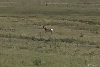 Tbd County Road 2, Atwood, CO 80722