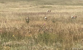 Tbd County Road 2, Atwood, CO 80722