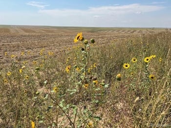 Tbd County Road 2, Atwood, CO 80722