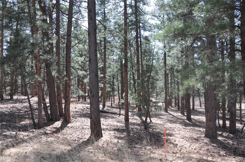 Wood Sorrel Rd, Larkspur, CO 80118