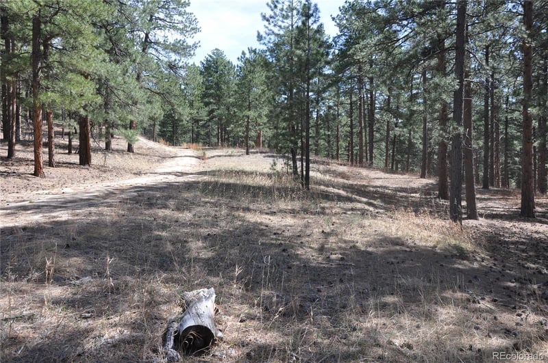 Wood Sorrel Rd, Larkspur, CO 80118