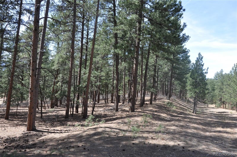 Wood Sorrel Rd, Larkspur, CO 80118