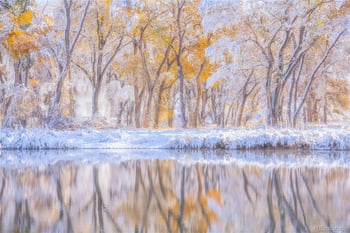 7205 Clifton Ave, Littleton, CO 80128