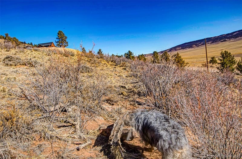 0000 Redhill Rd, Fairplay, CO 80440