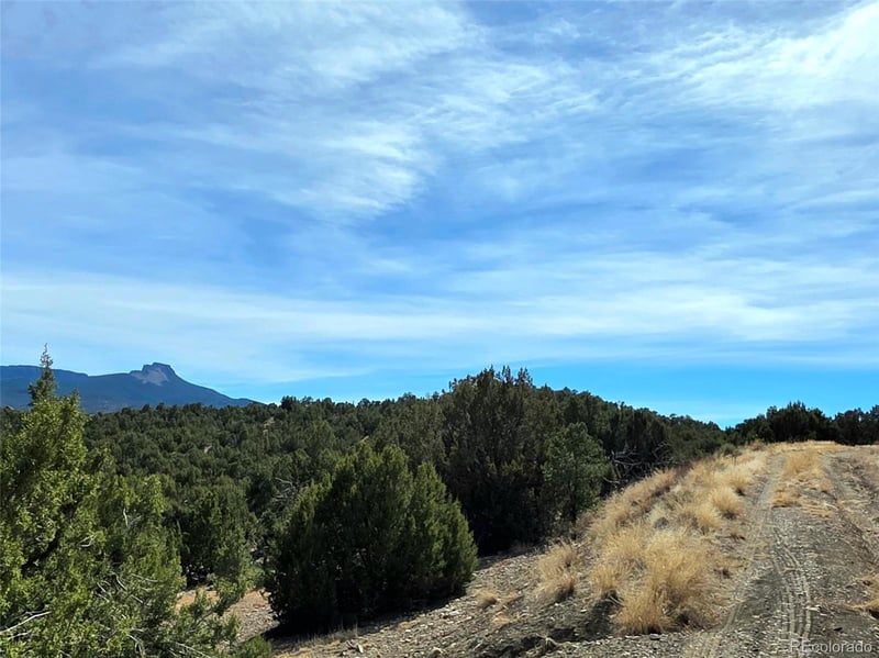 Lot 21 of 13565 Bat Masterson Dr Lot 21, Trinidad, CO 81082