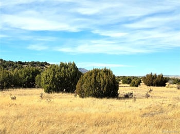 Lot 21 of 13565 Bat Masterson Dr, Trinidad, CO 81082