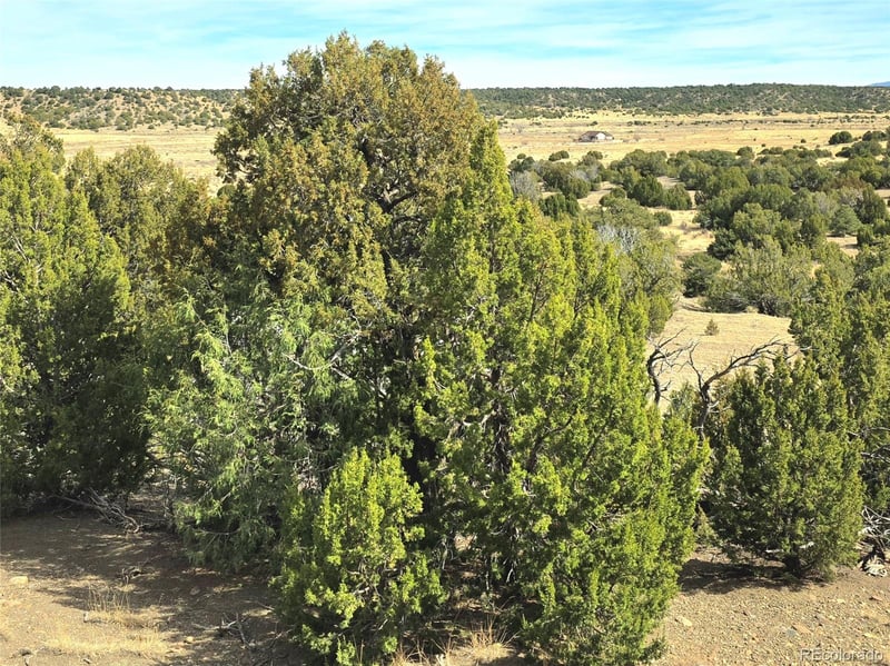Lot 21 of 13565 Bat Masterson Dr, Trinidad, CO 81082