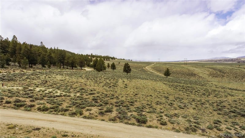 1111 George Safken Rd, Twin Lakes, CO 81251