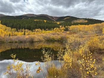 1111 George Safken Rd, Twin Lakes, CO 81251