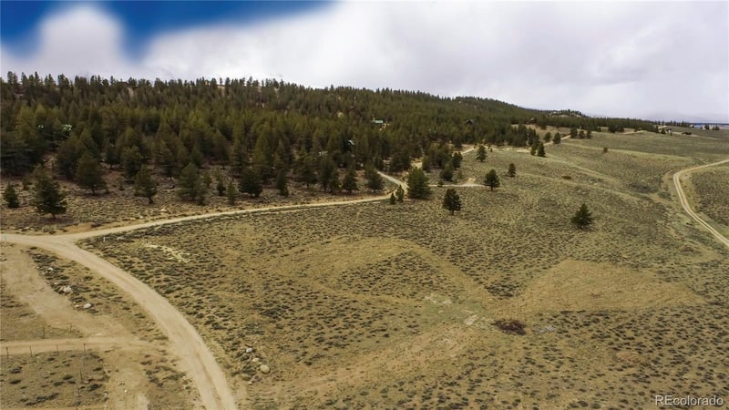 1111 George Safken Rd, Twin Lakes, CO 81251