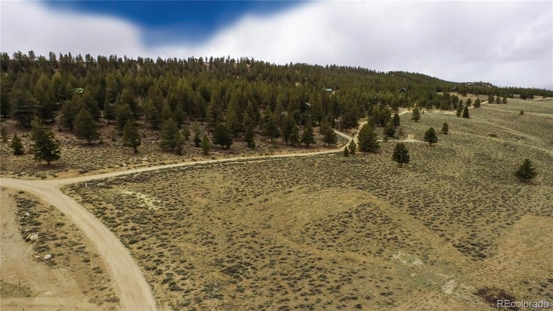 1111 George Safken Rd, Twin Lakes, CO 81251
