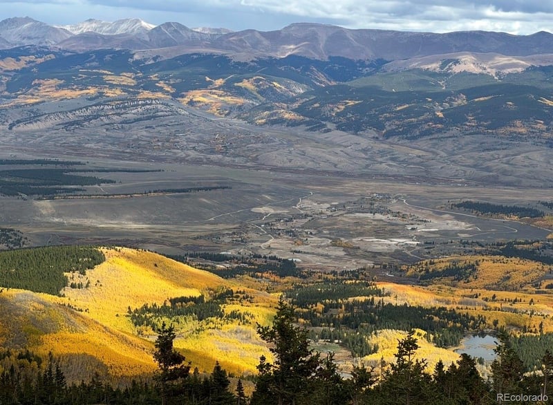 1111 George Safken Rd, Twin Lakes, CO 81251