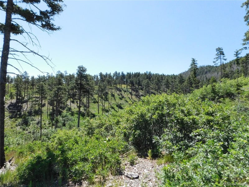 8249 Yuma Cir, Larkspur, CO 80118