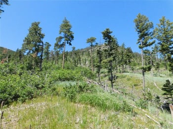 8249 Yuma Cir, Larkspur, CO 80118