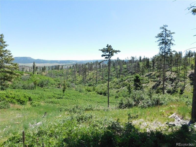 8249 Yuma Cir, Larkspur, CO 80118