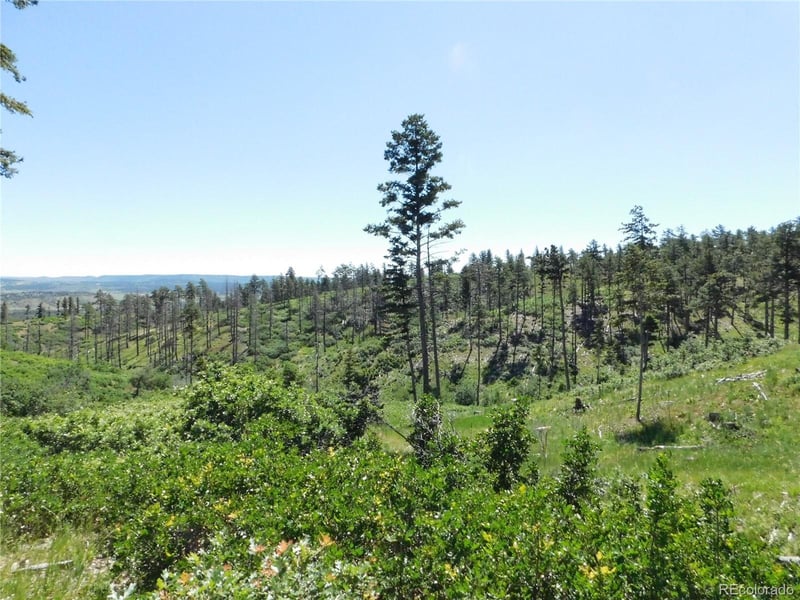 8249 Yuma Cir, Larkspur, CO 80118