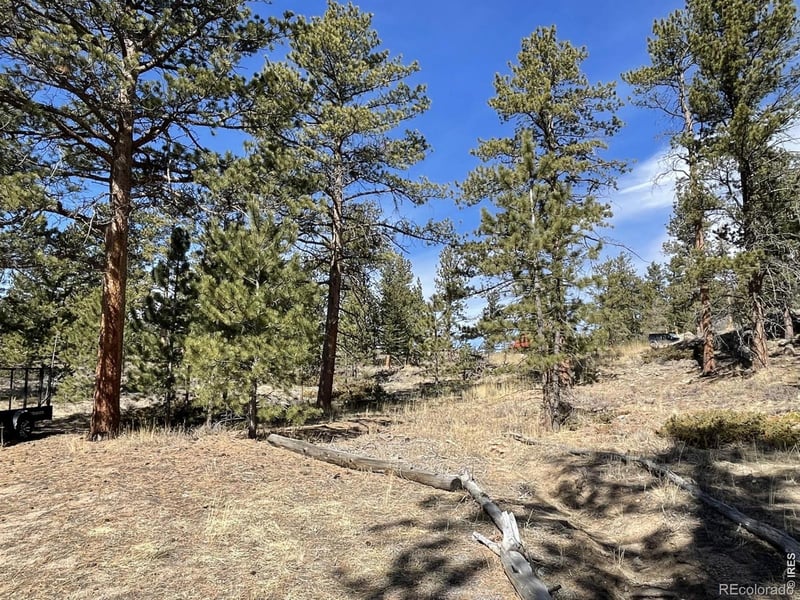 4347 County Road 73c, Red Feather Lakes, CO 80545