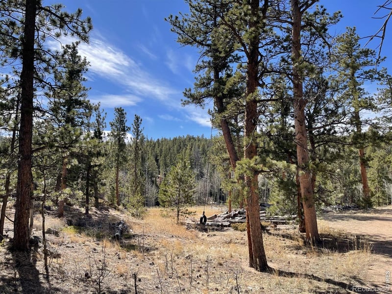 4347 County Road 73c, Red Feather Lakes, CO 80545