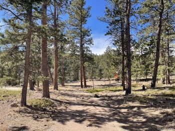 4347 County Road 73c, Red Feather Lakes, CO 80545