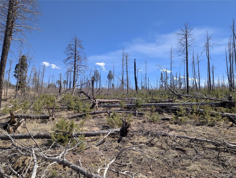 914 Forbes Park Rd, Fort Garland, CO 81133