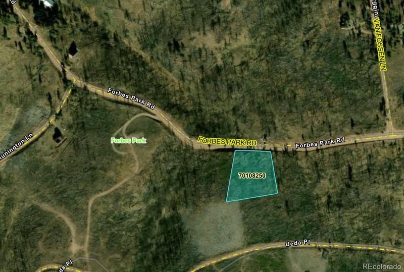 914 Forbes Park Rd, Fort Garland, CO 81133