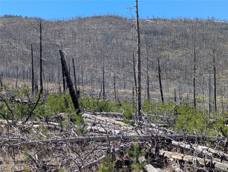 914 Forbes Park Rd, Fort Garland, CO 81133