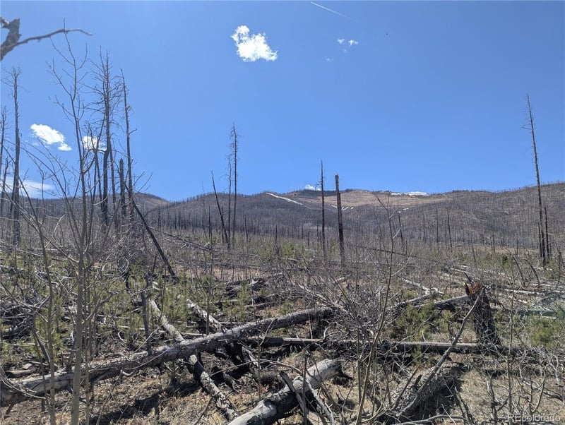 914 Forbes Park Rd, Fort Garland, CO 81133