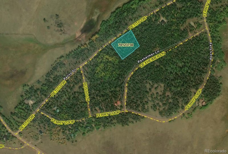 2452 Petito Dr, Fort Garland, CO 81133