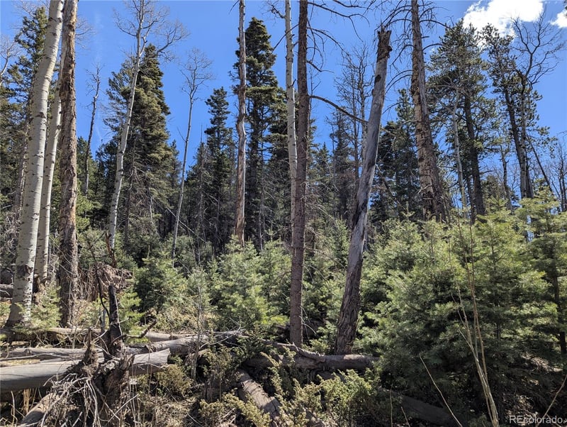 2452 Petito Dr, Fort Garland, CO 81133