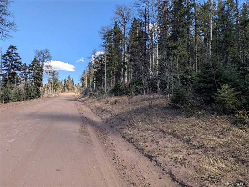 2452 Petito Dr, Fort Garland, CO 81133