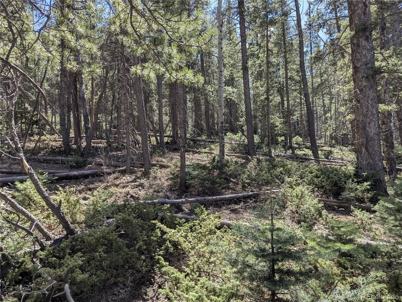 2452 Petito Dr, Fort Garland, CO 81133