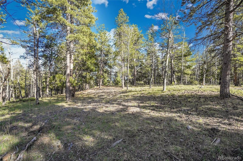 Molly Dr Lot #3, Conifer, CO 80433