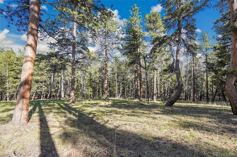 Molly Dr Lot #3, Conifer, CO 80433