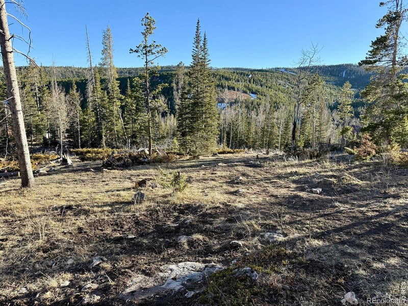 227 Micmac Dr, Red Feather Lakes, CO 80545