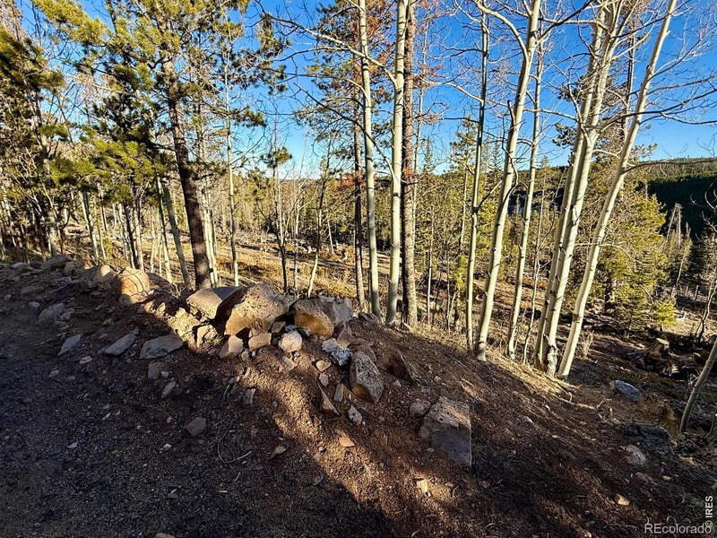 227 Micmac Dr, Red Feather Lakes, CO 80545