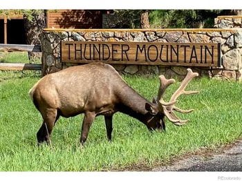 2728 Cumulus Dr, Estes Park, CO 80517