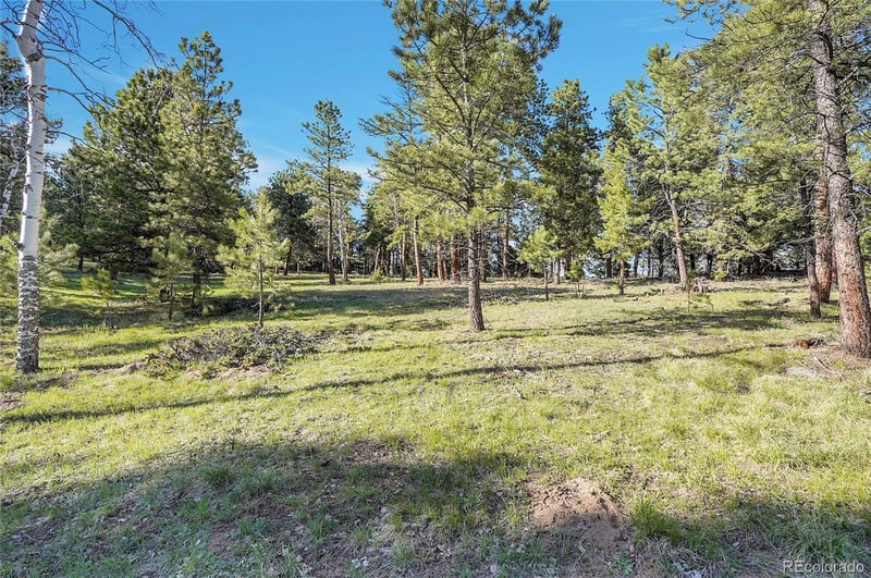 Molly Dr Lot #1, Conifer, CO 80433
