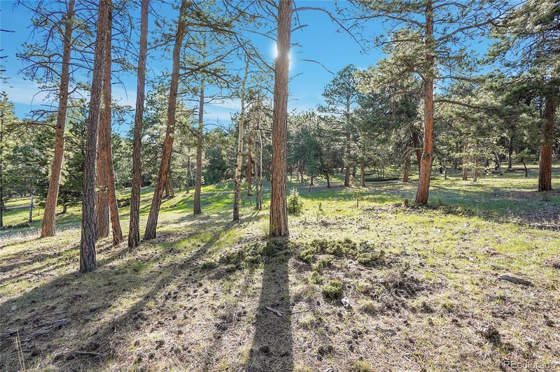 Molly Dr Lot #1, Conifer, CO 80433