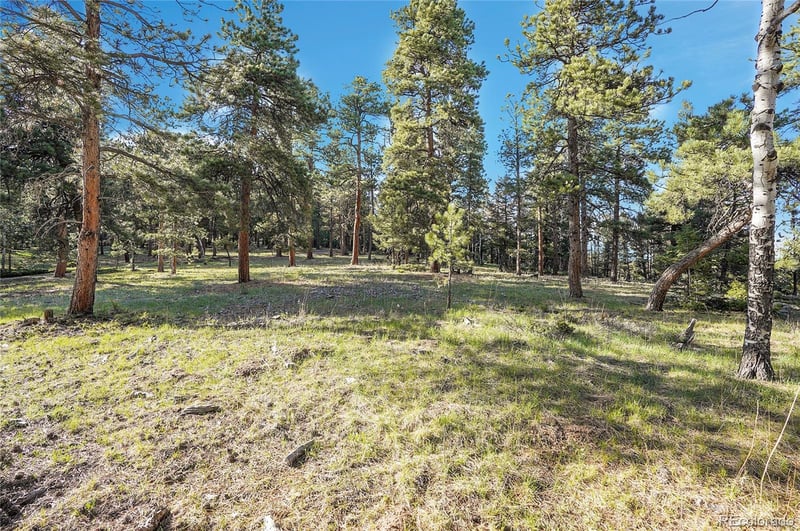 Molly Dr Lot #1, Conifer, CO 80433