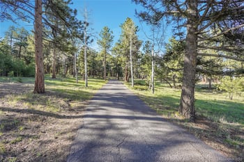Molly Dr Lot #1, Conifer, CO 80433