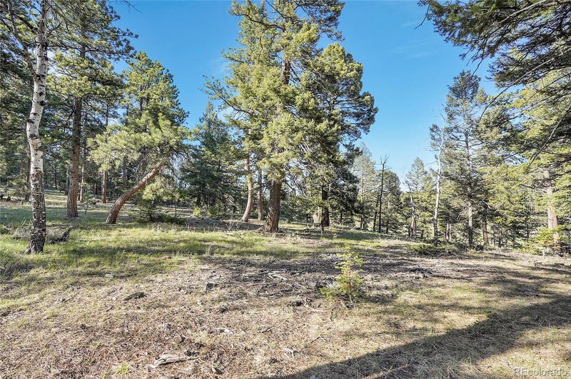 Molly Dr Lot #1 Lot 1, Conifer, CO 80433